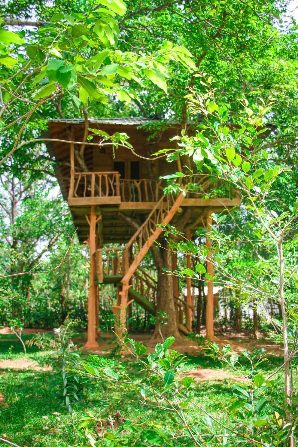 Lotus Eco Villa Szigirija Kültér fotó
