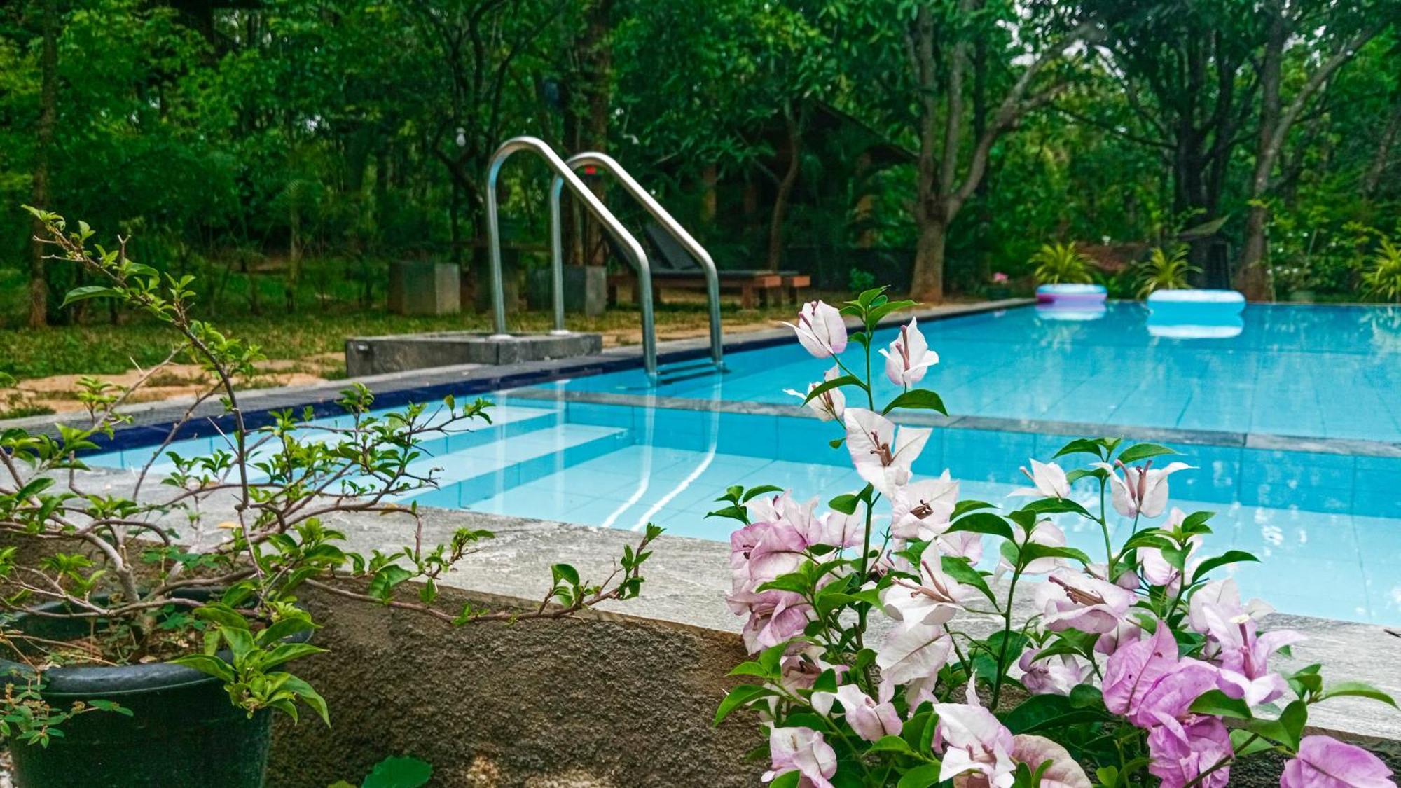 Lotus Eco Villa Szigirija Kültér fotó
