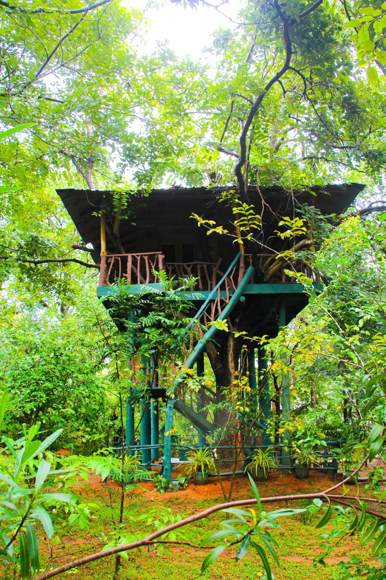 Lotus Eco Villa Szigirija Kültér fotó